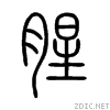 8165.gif